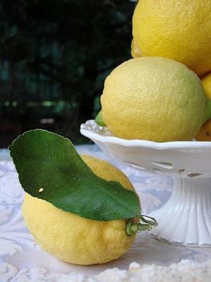 Dolcetto con limoni del papà di Alessandra