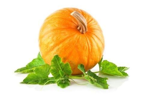 Sorbetto alla zucca senza latte e glutine