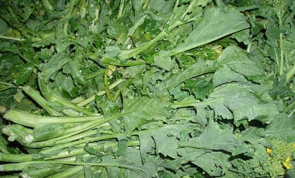 Tagliatelle con cime di rapa