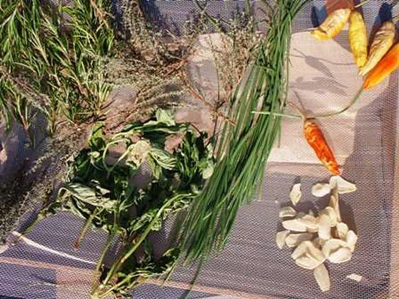 Sale aromatico