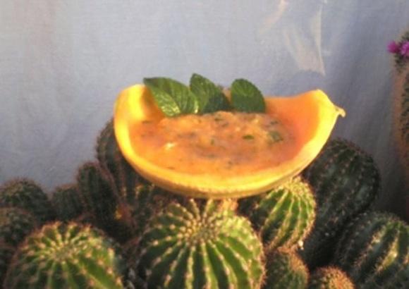 Freddissimo di melone e menta