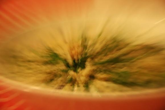 Cereali sotto copertura