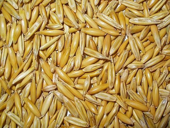 Crema di avena e cavolo