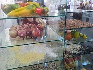 Ho assaggiato cose incredibili al salone del gusto torino 2012