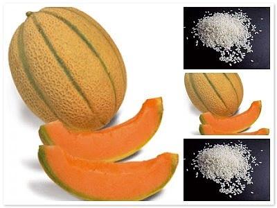 Risotto al melone