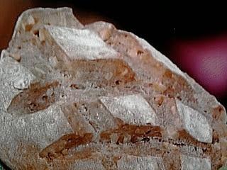 Pane alle noci di Gabriele Bonci