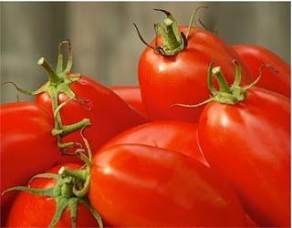Pomodoro San Marzano