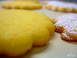Biscotti Ovis Mollis