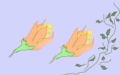 Fiori di zucca ripieni