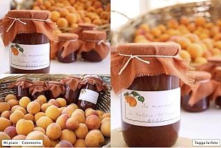 Marmellata di albicocche fatta in casa