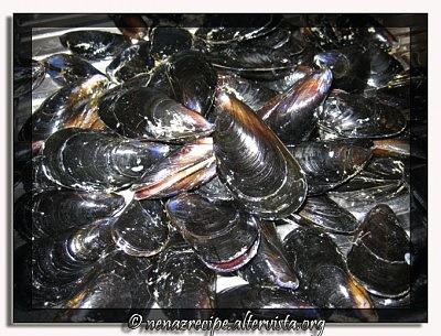 Soutè di Cozze