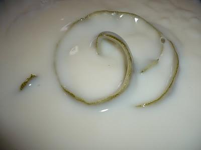 Menjar blanc algherese con crema di latte e limone
