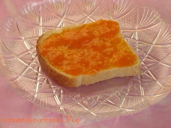 Marmellata di albicocche con Bimby
