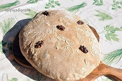 Pane alle noci