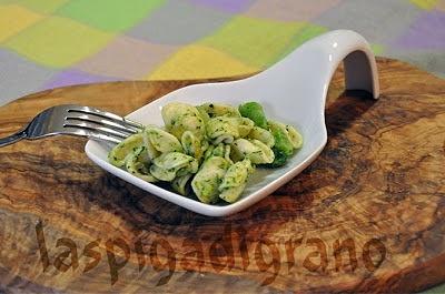 Orecchiette Senatore Cappelli in verde