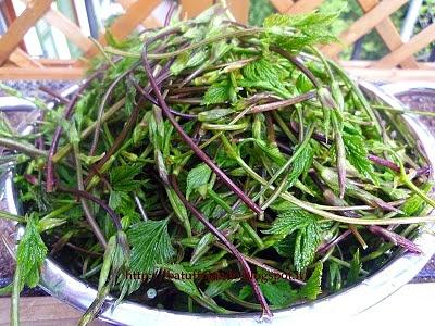 Frittata di liturgie di verdure
