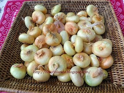Cipolline borettane in agrodolce