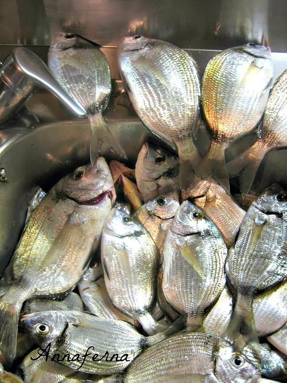 Saragone al forno con arancia e finocchio