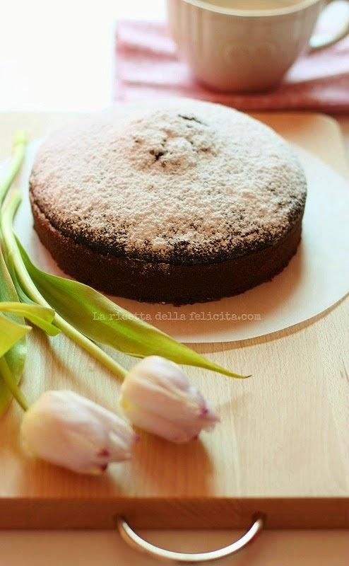 Torta al cacao facile e leggera senza latte ne uova