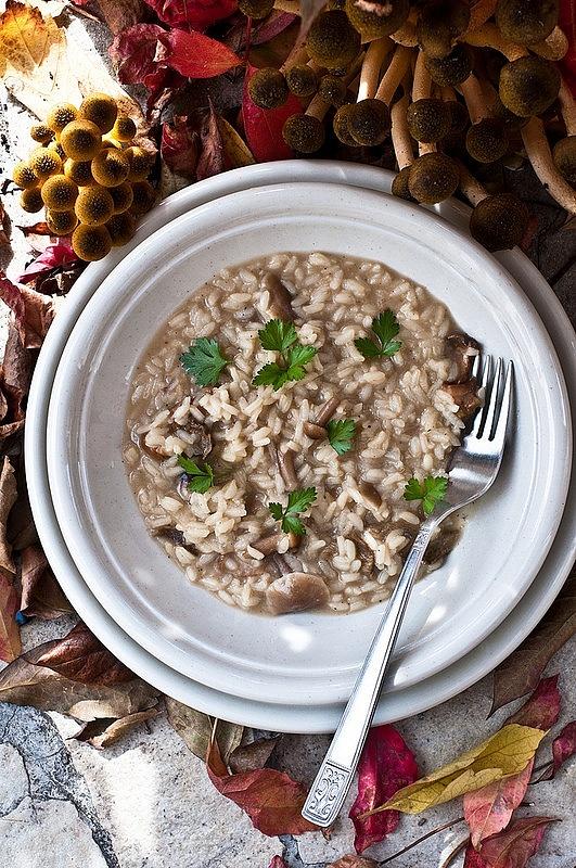 Risotto ai funghi chiodini