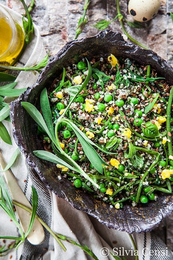 Quinoa bicolore con silene e luppolo selvatico