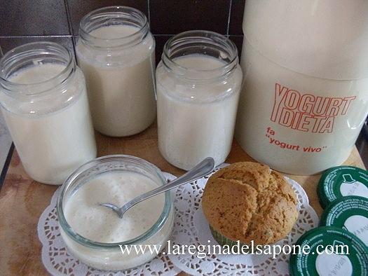 Come utilizzare la yogurtiera per fare lo yogurt